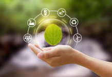 Green Procurement in the UK: How Businesses Can Benefit from Net Zero Goals